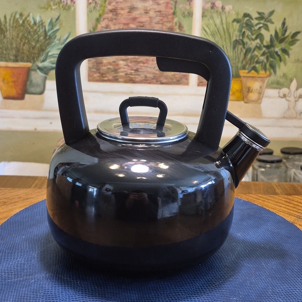 Martha Stewart: Black Stainless SteelTea Kettle (#TK-4) Unique. Safety Handle.